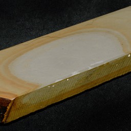 155 Asagi Kan 1