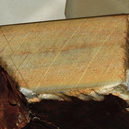 Faint Maruka 1
