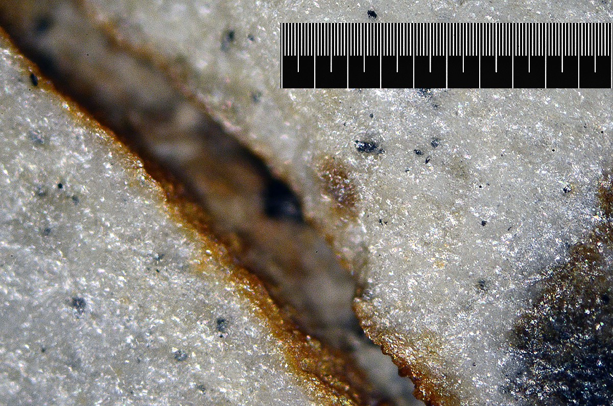 Frankonian 5x Neo DF Micron.jpg