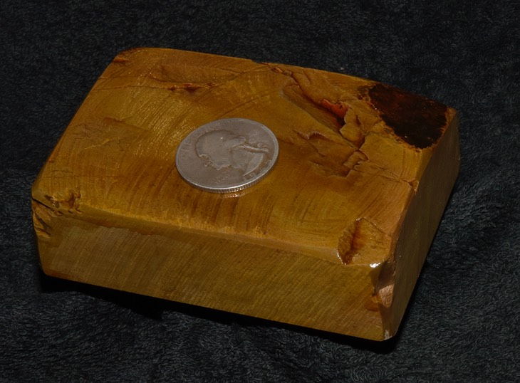 Oohira Large Tomo 2018 1e.jpg