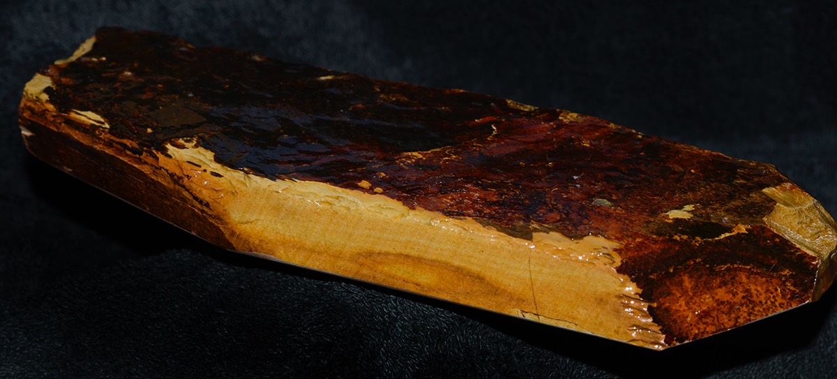 Oozku Kiita Kan 4.jpg