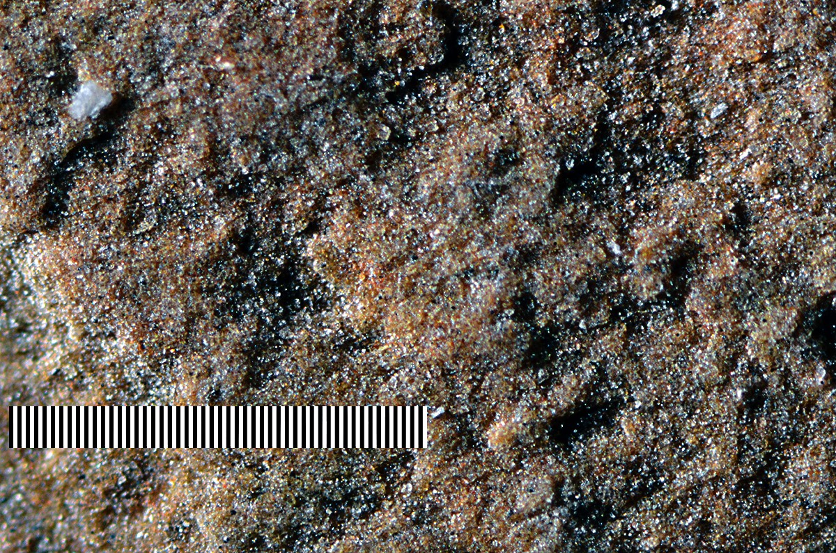 Shobu Iro Micron Bar 1.jpg