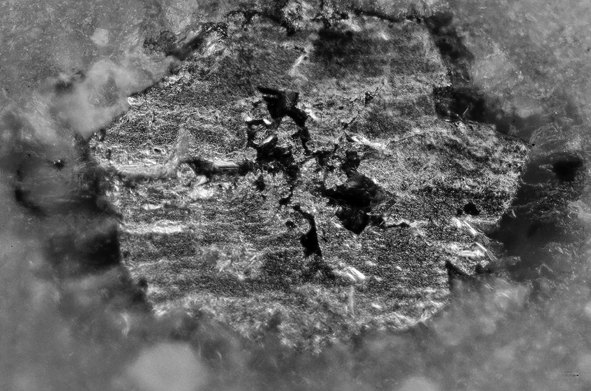 Su Inclusion 20x DF 1.jpg