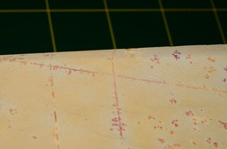Suji Lines 1.jpg