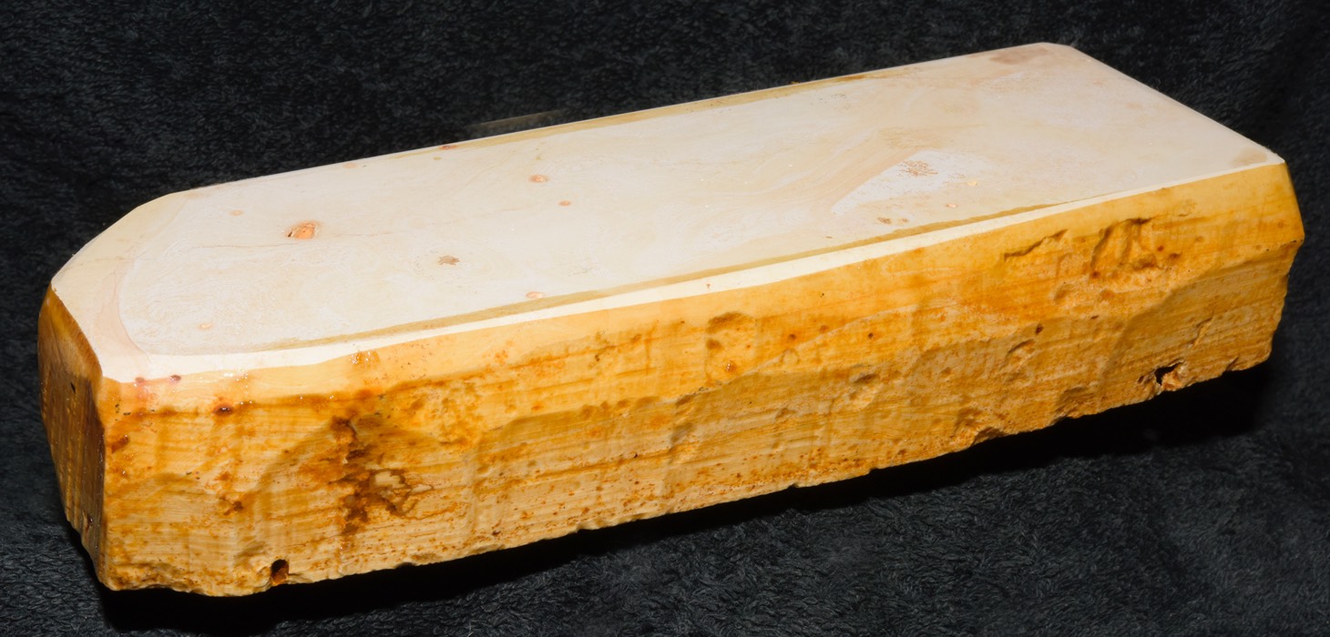 Tenjyou Ogami 731 e.jpg