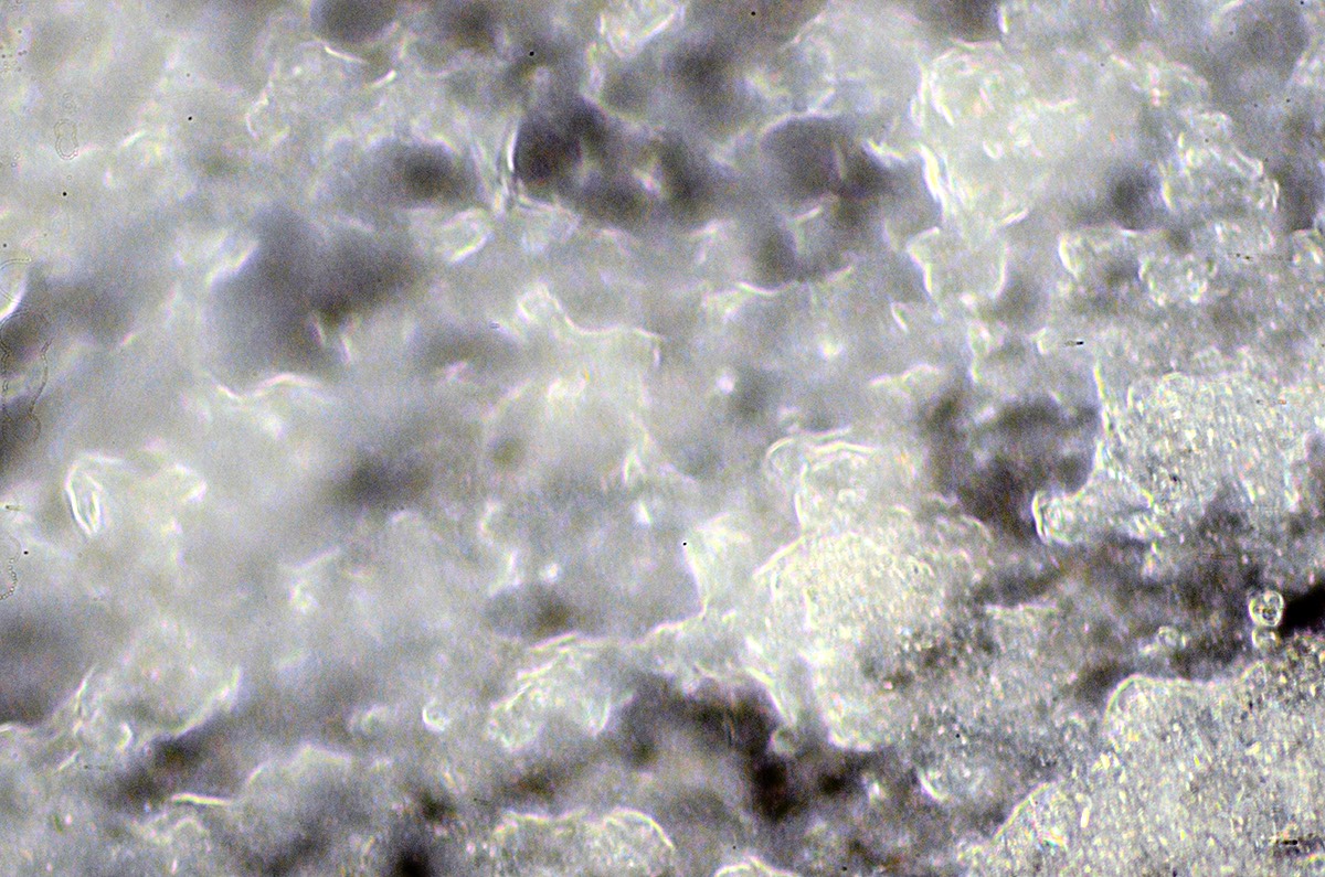 Thuri Slurry 20x DF 2