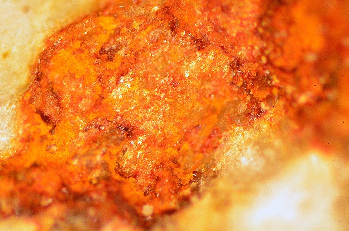 Tomo Inclusion 5x DF 1.jpg