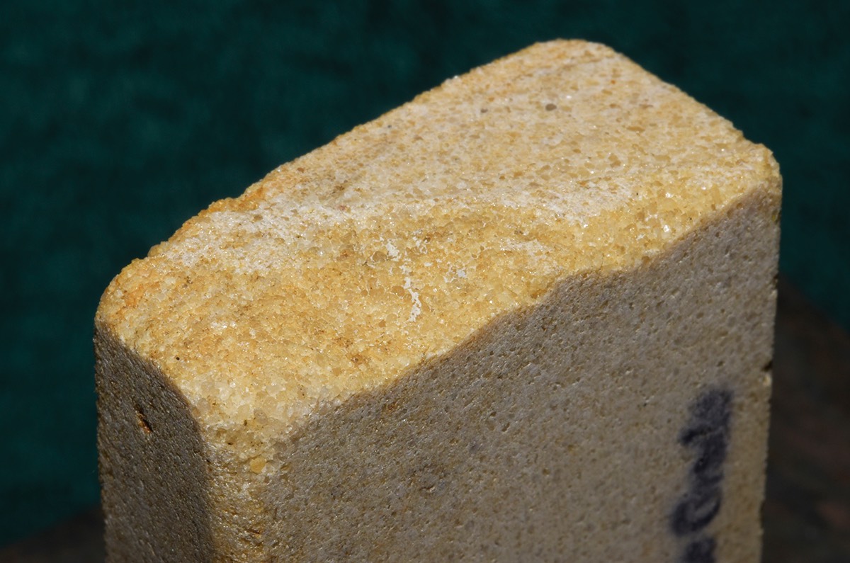 Wild Rose Regular Fine Tomo 1.jpg